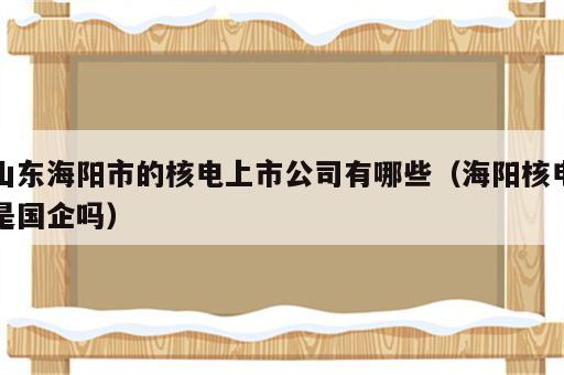 山东海阳市的核电上市公司有哪些（海阳核电是国企吗）