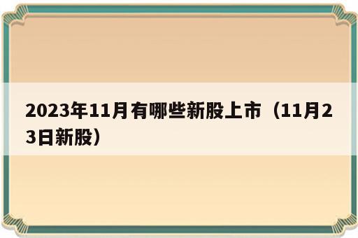 2023年11月有哪些新股上市（11月23日新股）