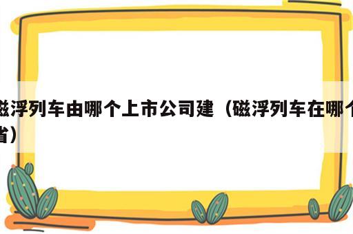 磁浮列车由哪个上市公司建（磁浮列车在哪个省）