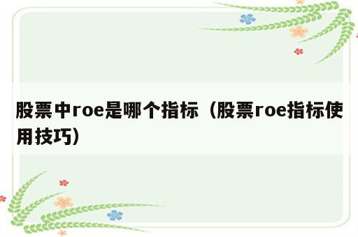 股票中roe是哪个指标（股票roe指标使用技巧）