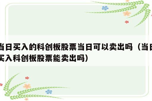 当日买入的科创板股票当日可以卖出吗（当日买入科创板股票能卖出吗）