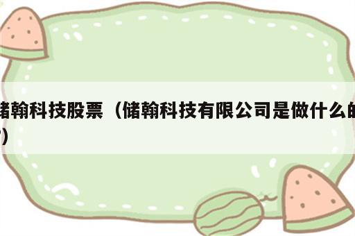 储翰科技股票（储翰科技有限公司是做什么的?）